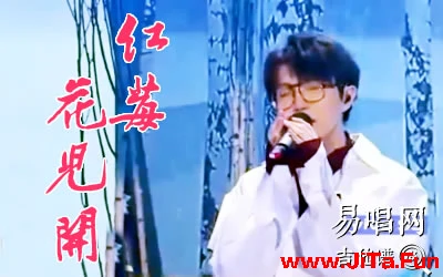 紅莓花兒開毛不易吉他譜 